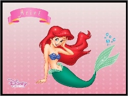 Ariel, The Little Mermaid, Mała Syrenka, Syrenka